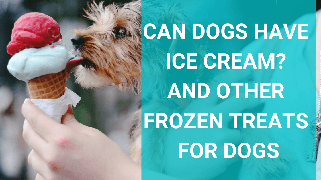 Can Dogs Have Ice Cream? And Other Frozen Dog Treats - Monster K9 Dog Toys