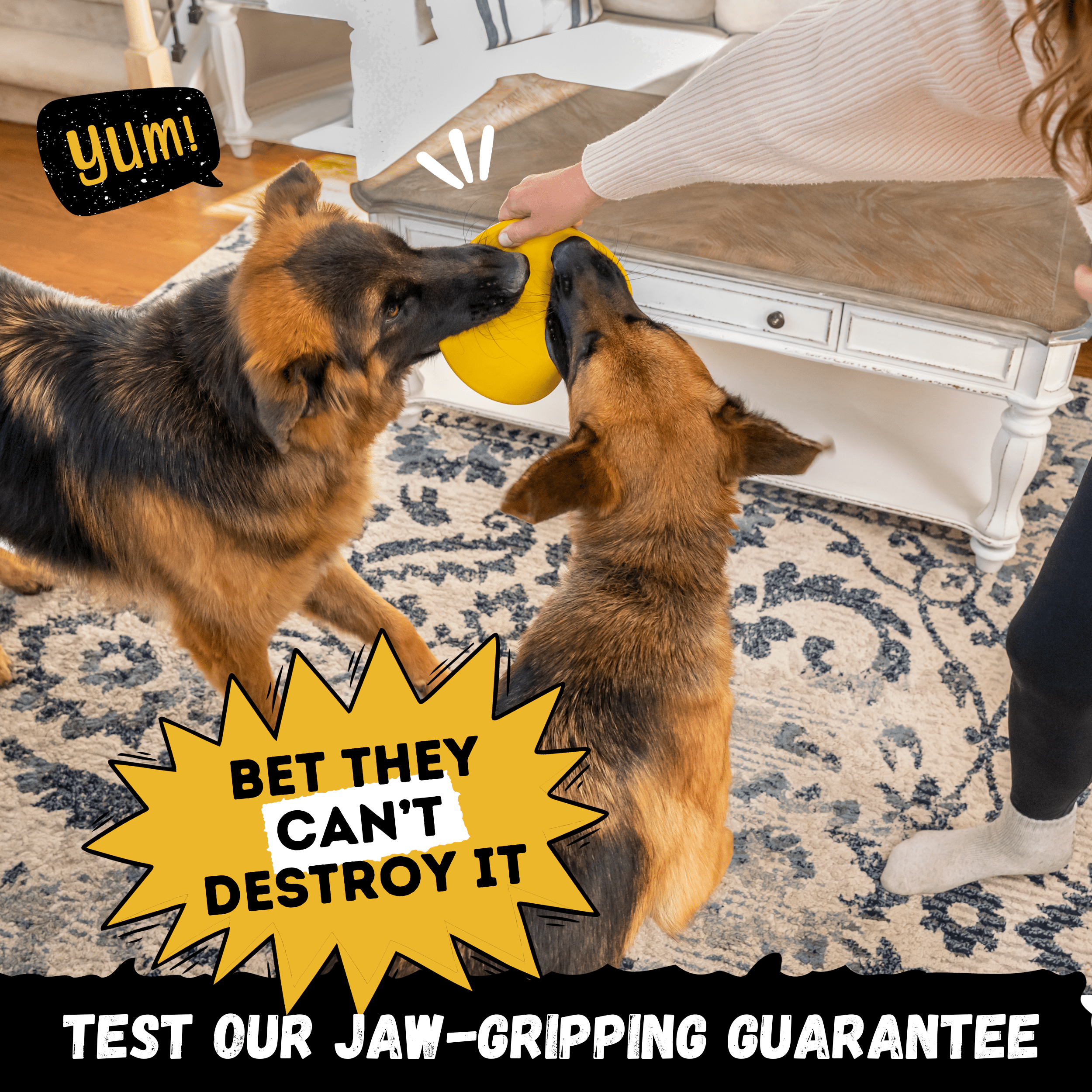 Air Disc - Monster K9 Dog Toys