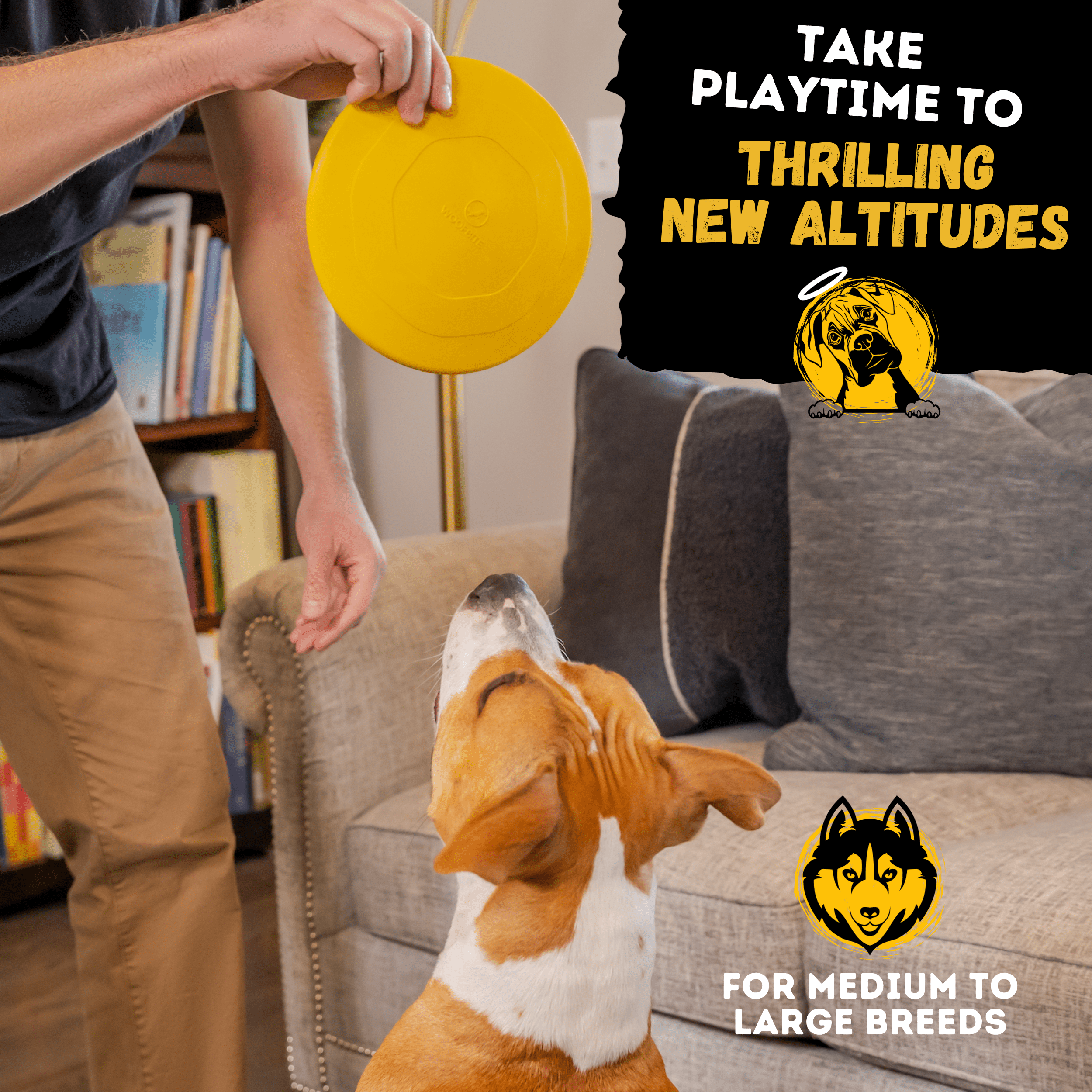 Air Disc - Monster K9 Dog Toys