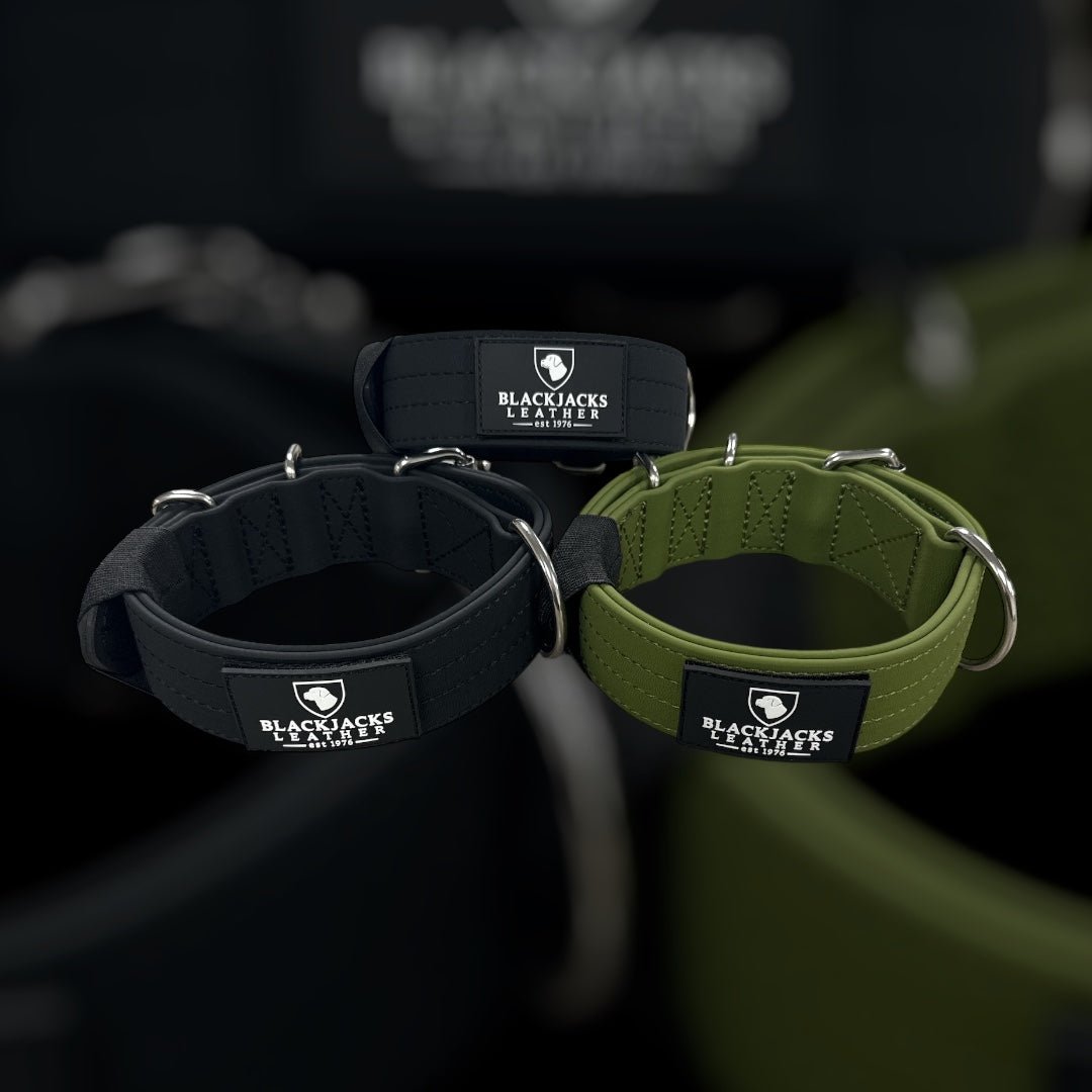 Blackjacks Leather - Waterproof 2" Collar - Monster K9 Dog Toys