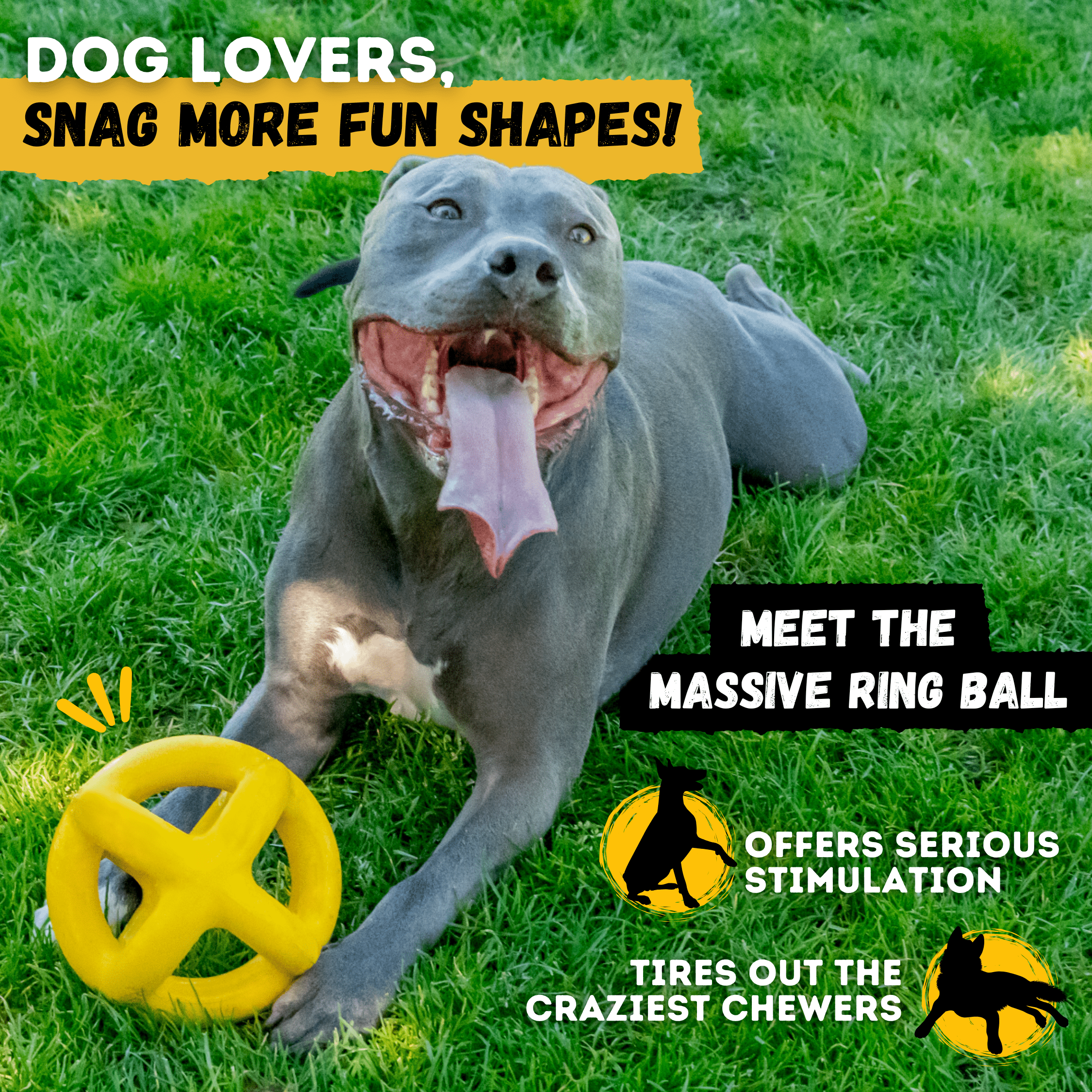 Jumping Jack - Monster K9 Dog Toys