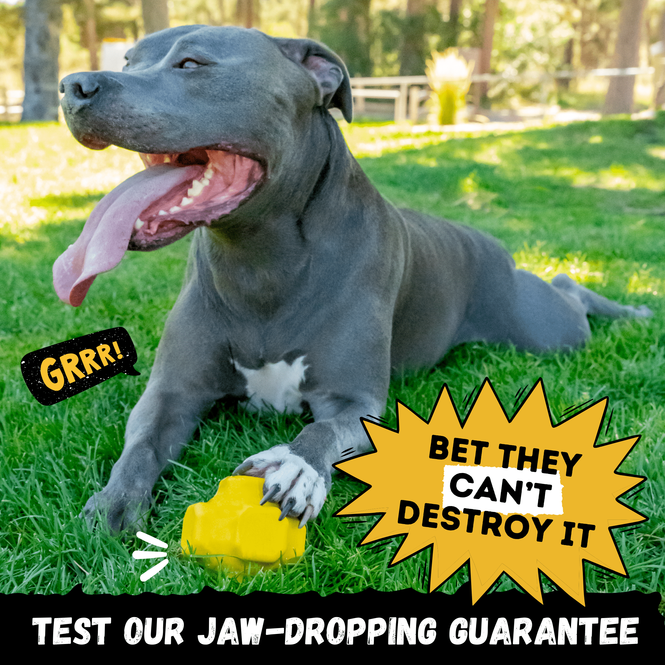 Jumping Jack - Monster K9 Dog Toys