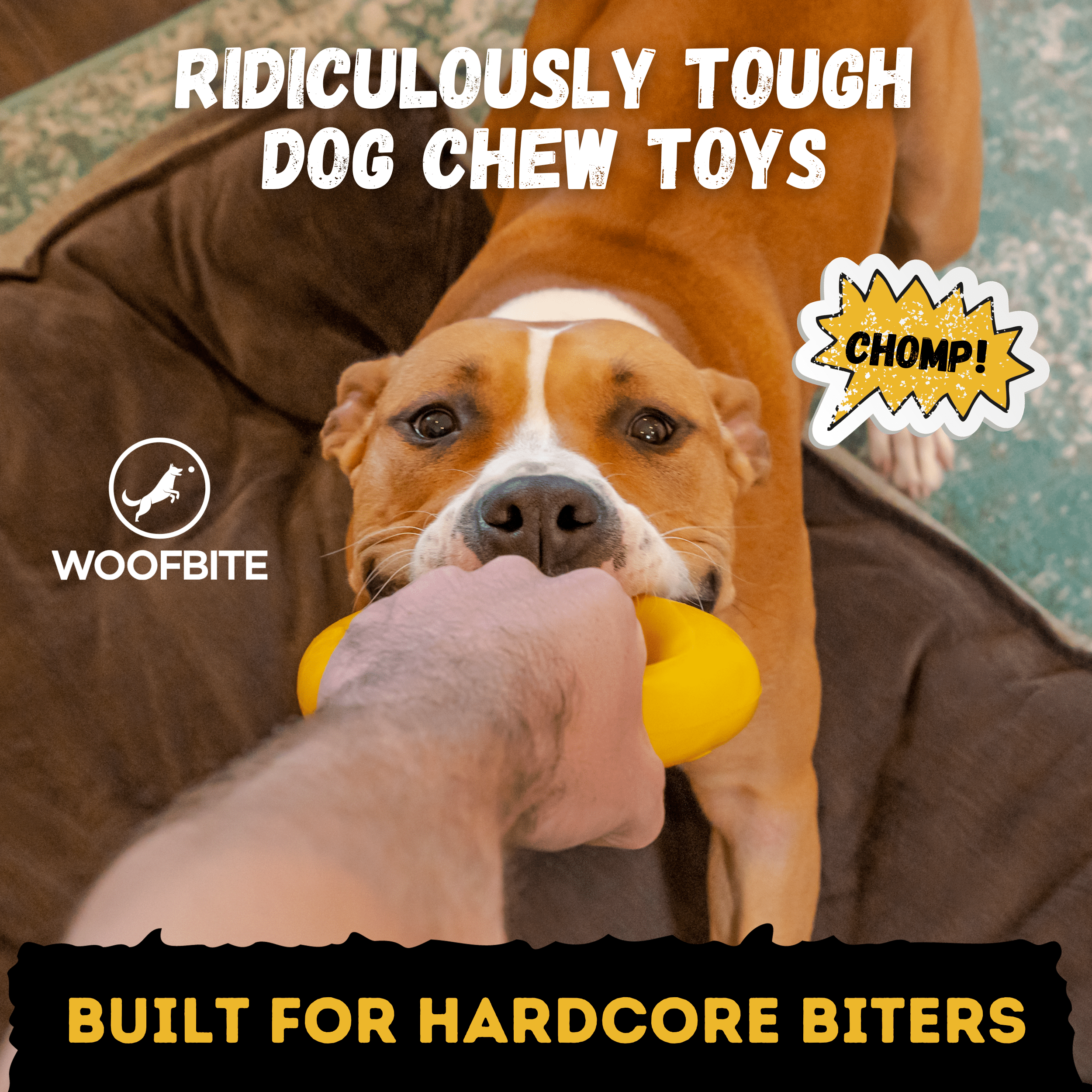 Power Ring - Monster K9 Dog Toys