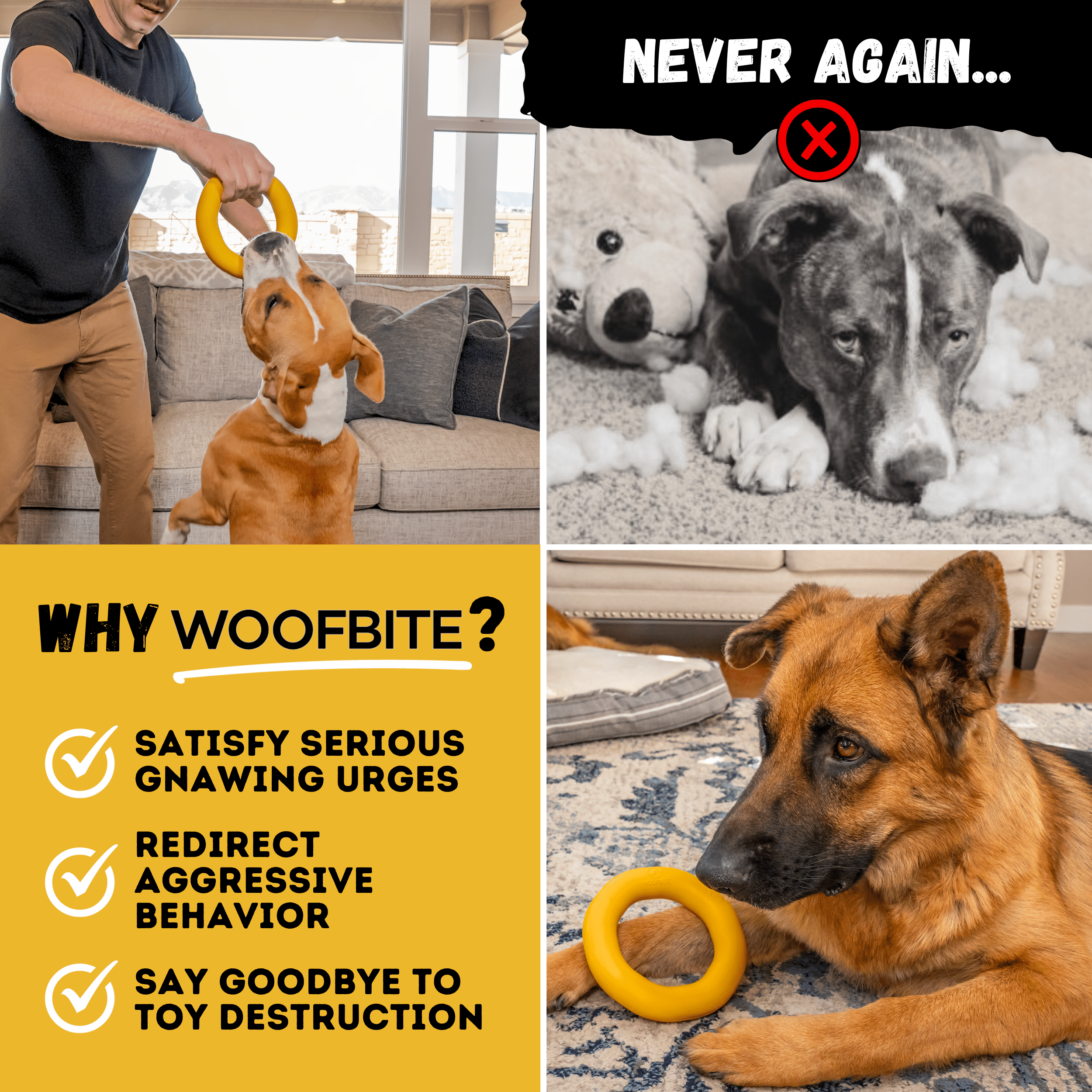 Power Ring - Monster K9 Dog Toys