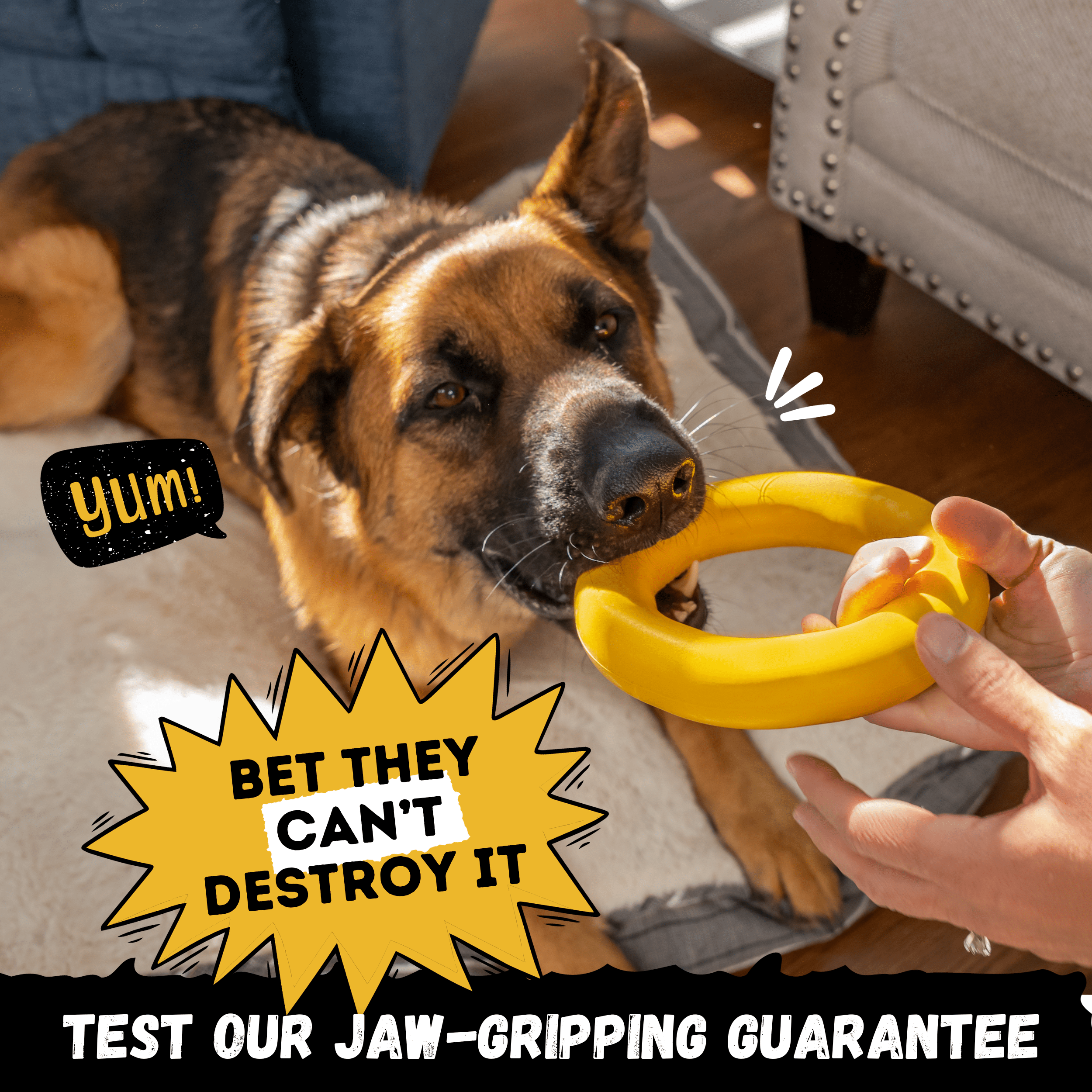 Power Ring - Monster K9 Dog Toys