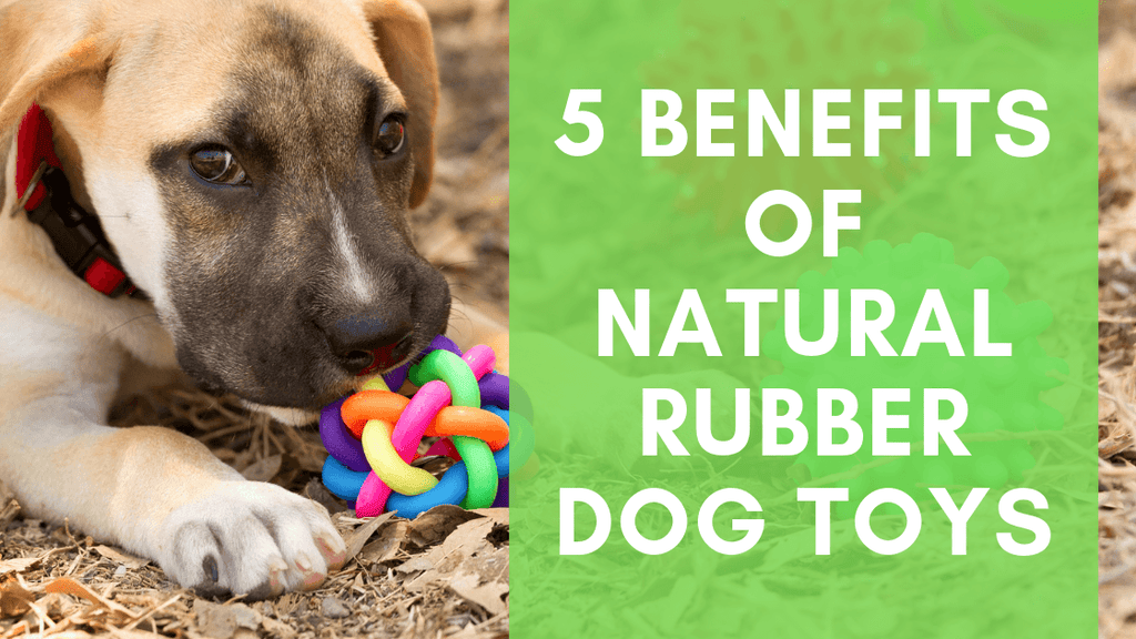 5 Benefits Of Natural Rubber Dog Toys