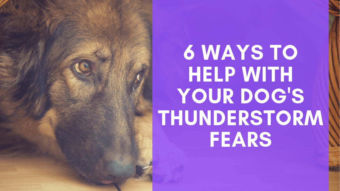 6 Ways to Help with your Dog’s Thunderstorm Fears - Monster K9 Dog Toys