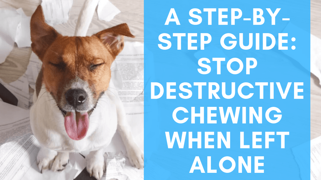 A Step-By-Step Guide: Stop Destructive Chewing When Left Alone - Monster K9 Dog  Toys