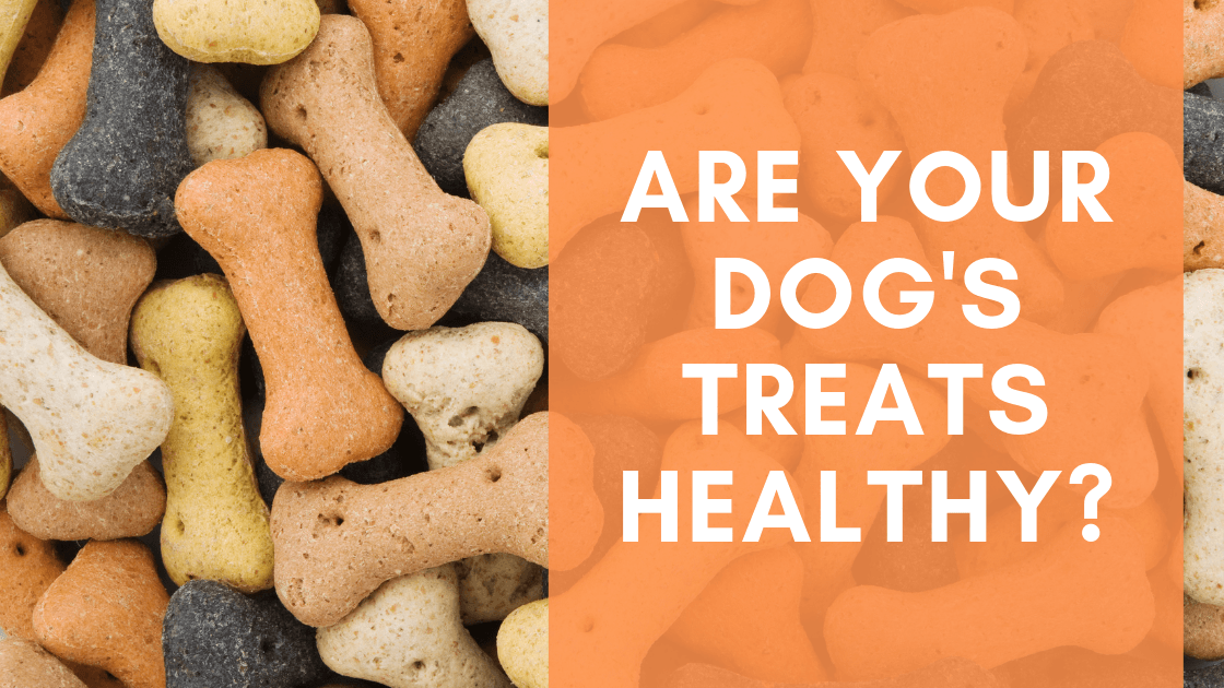 Are your Dog’s Treats Healthy? - Monster K9 Dog Toys