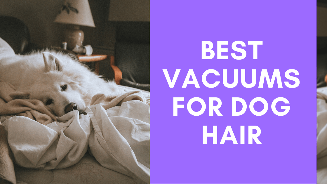 Best Vacuums for Dog Hair - Monster K9 Dog Toys