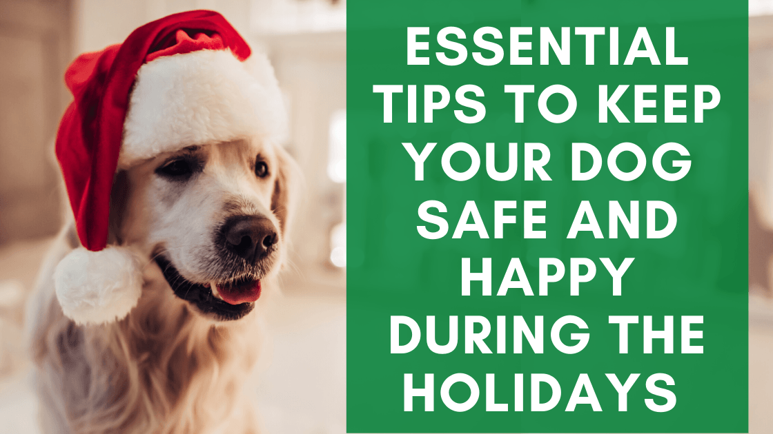Essential Tips to Keep Your Dog Safe and Happy During the Holidays - Monster K9 Dog Toys