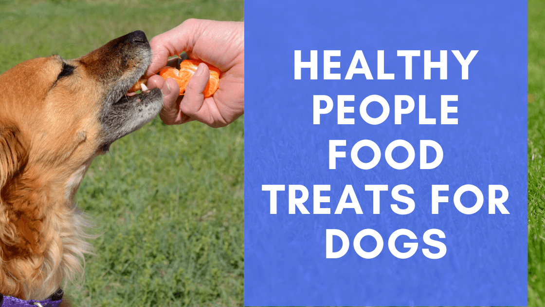 Healthy People Food Treats for Dogs - Monster K9 Dog Toys