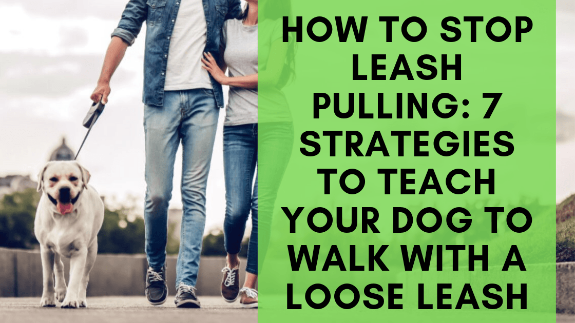 How to Stop Leash Pulling: 7 Strategies to Teach your Dog to Walk with a Loose Leash - Monster K9 Dog Toys