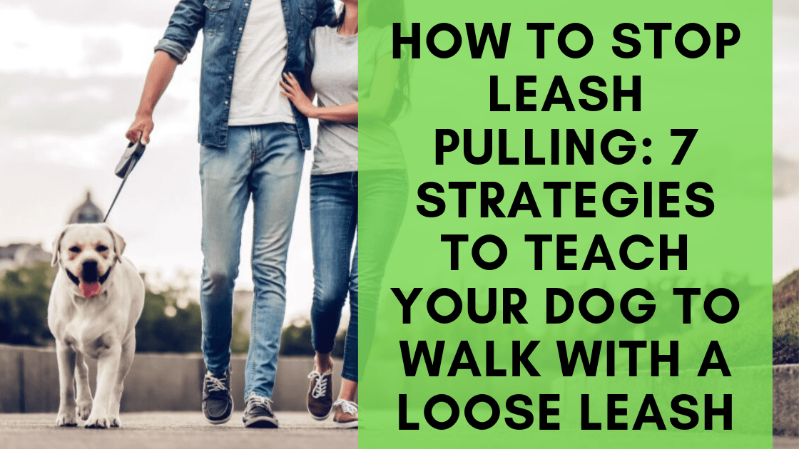 How To Stop A Dog From Pulling On His Leash