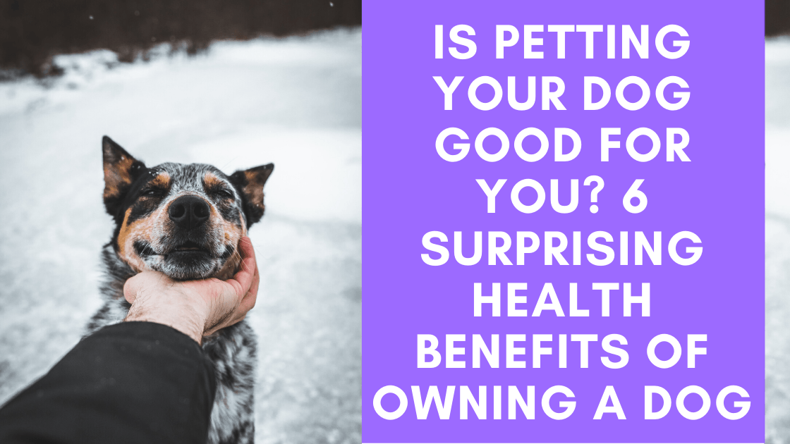 Is Petting Your Dog Good for You? 6 Surprising Health Benefits of Owning a Dog - Monster K9 Dog Toys