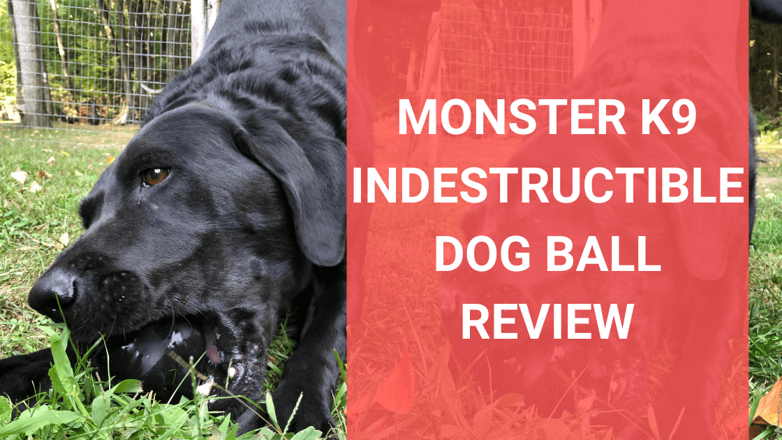 Monster K9 Indestructible Dog Ball Review: Treat Ball - Monster K9 Dog Toys