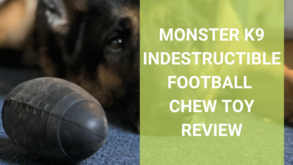 Monster K9 Indestructible Football Chew Toy Review - Monster K9 Dog Toys