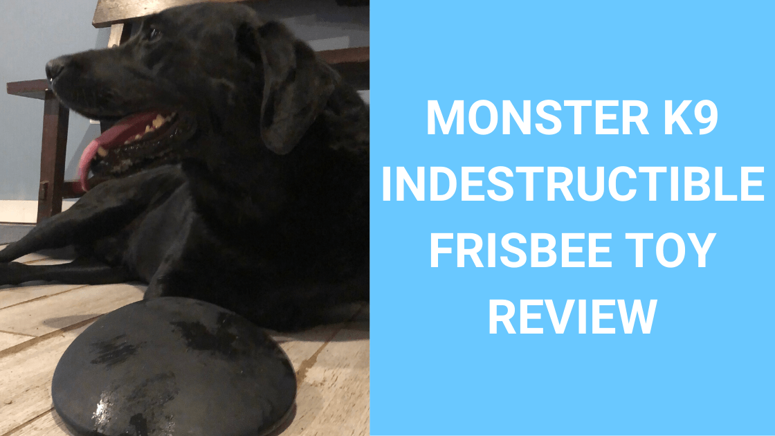 Monster K9 Indestructible Frisbee Review - Monster K9 Dog Toys