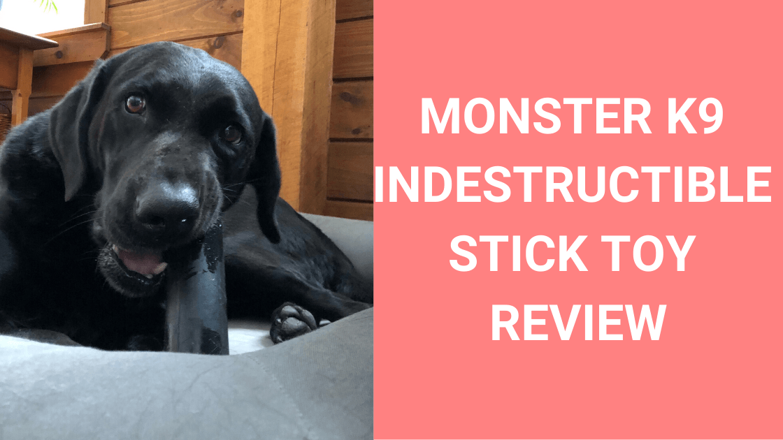 Monster K9 Indestructible Stick Toy Review - Monster K9 Dog Toys