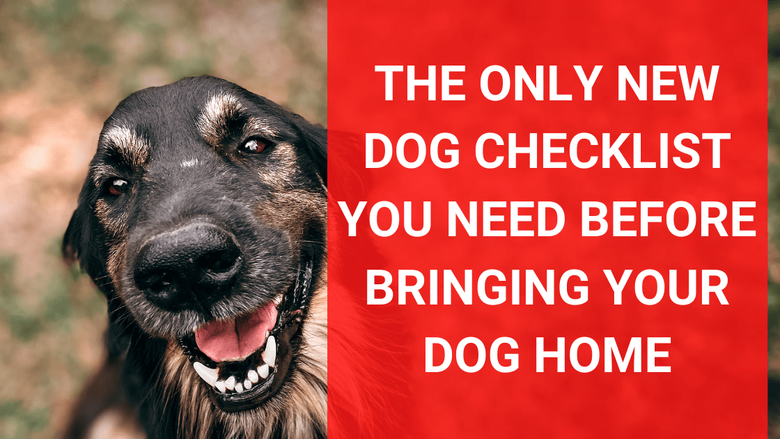 The Only New Dog Checklist You Need Before Bringing Your Dog Home - Monster K9 Dog Toys