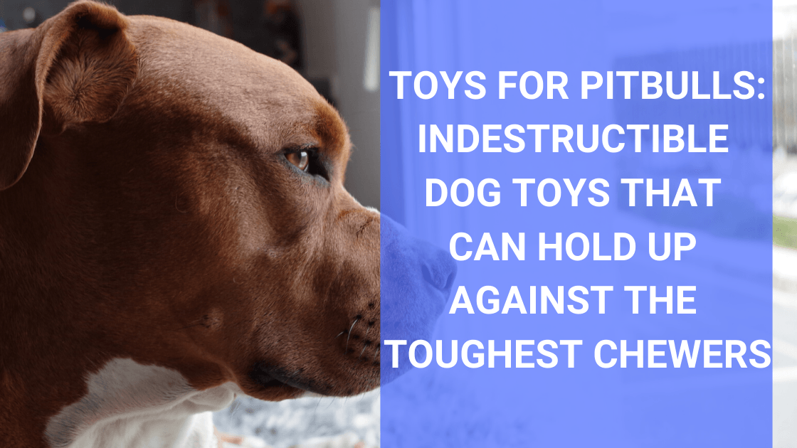 Toys For Pitbulls: Indestructible Dog Toys That Can Hold Up Against The Toughest Chewers - Monster K9 Dog Toys
