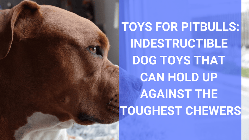 Best Indestructible Dog Toys for Pit Bulls: Pros, Cons, How To