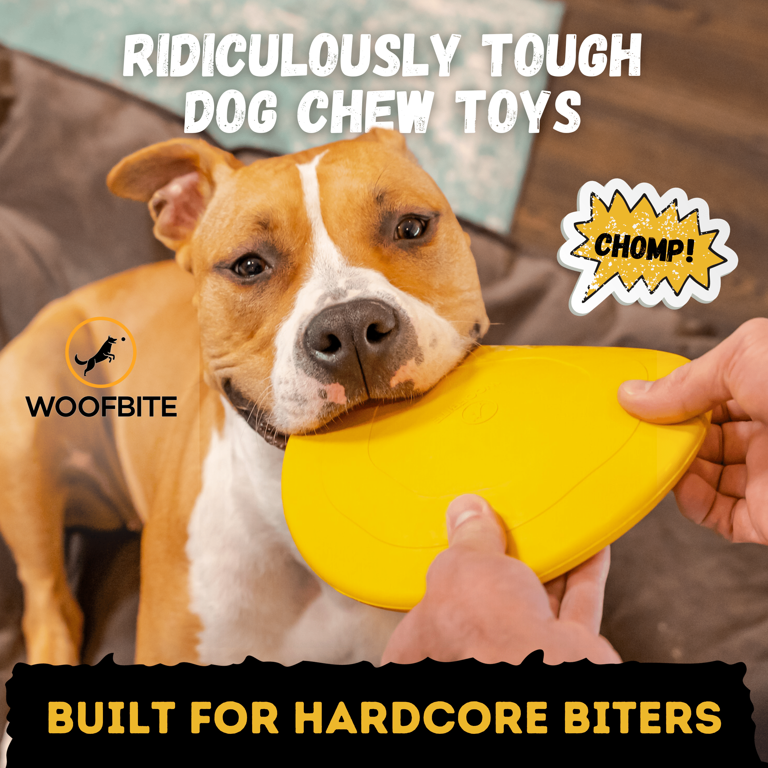 Air Disc - Monster K9 Dog Toys