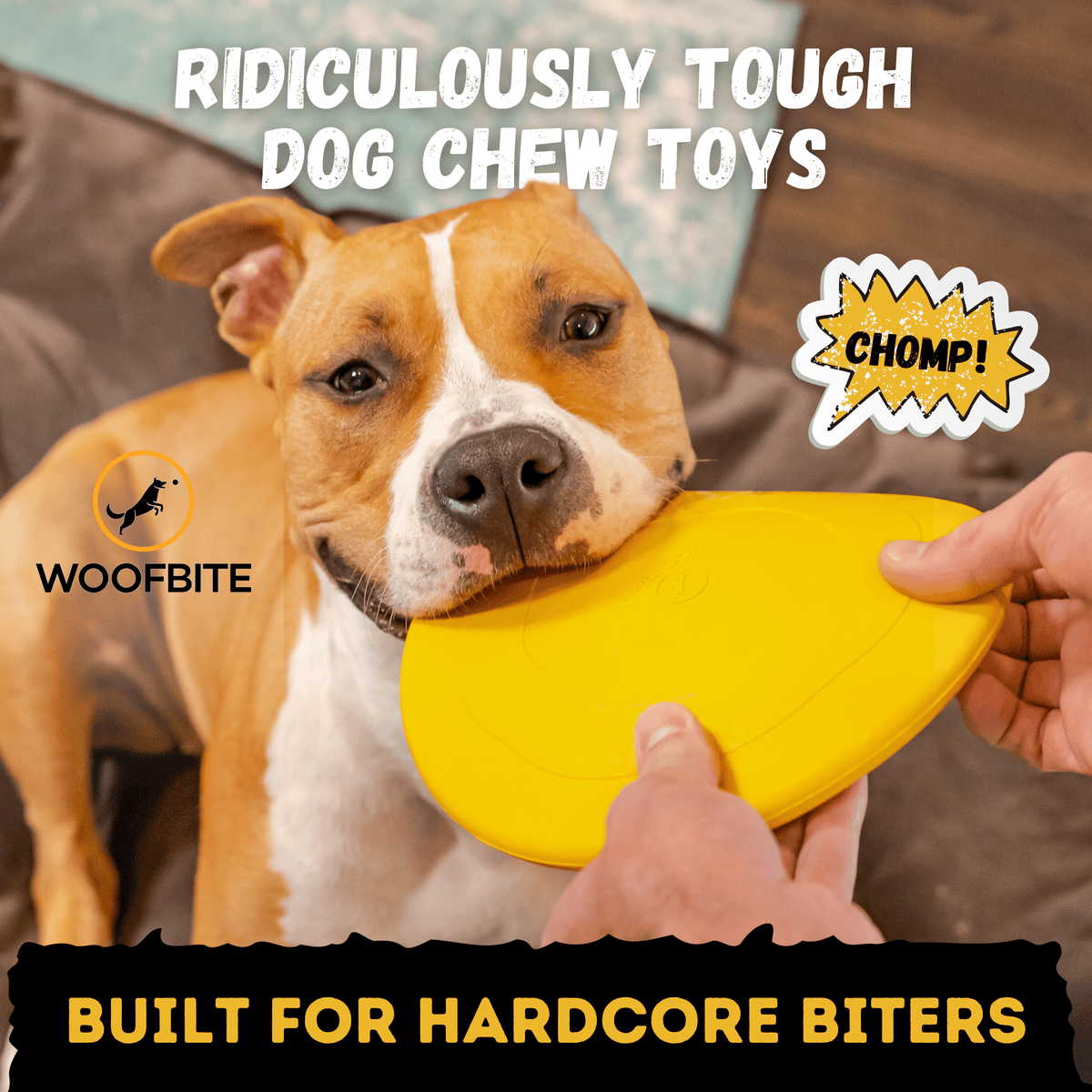 Air Disc - Monster K9 Dog Toys
