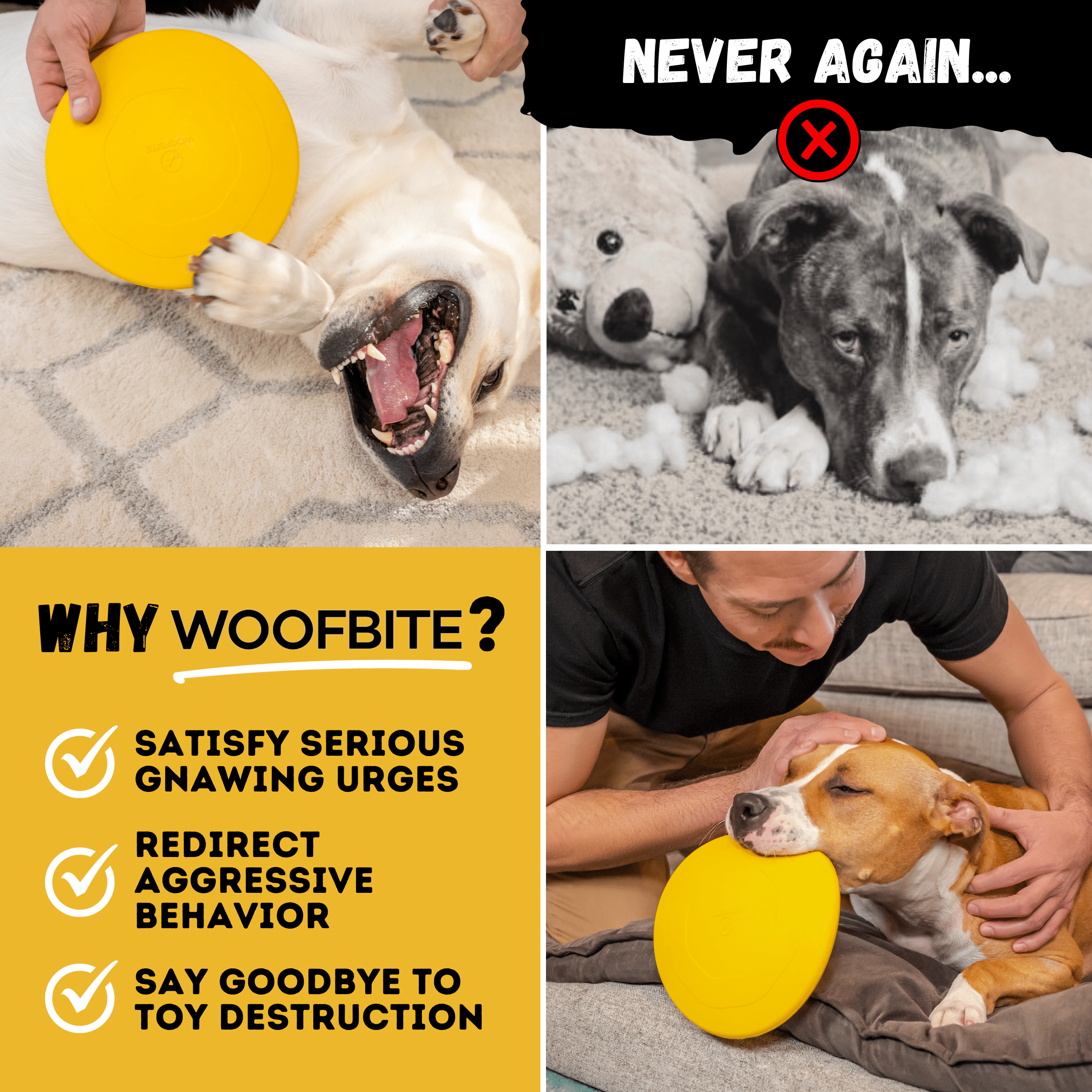 Air Disc - Monster K9 Dog Toys