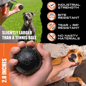 Beast Ball™ - Monster K9 Dog Toys