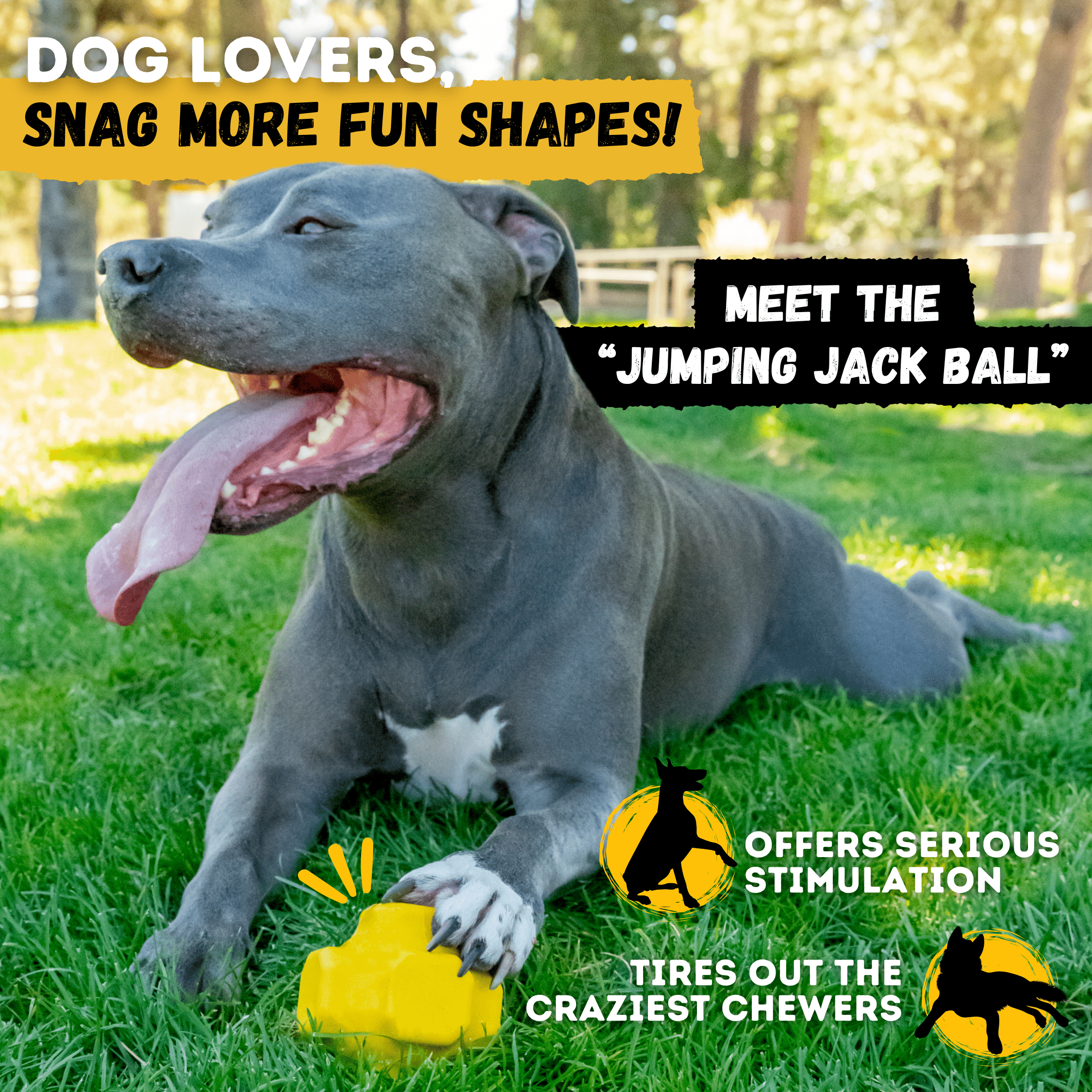 Giant Ring Ball - Monster K9 Dog Toys