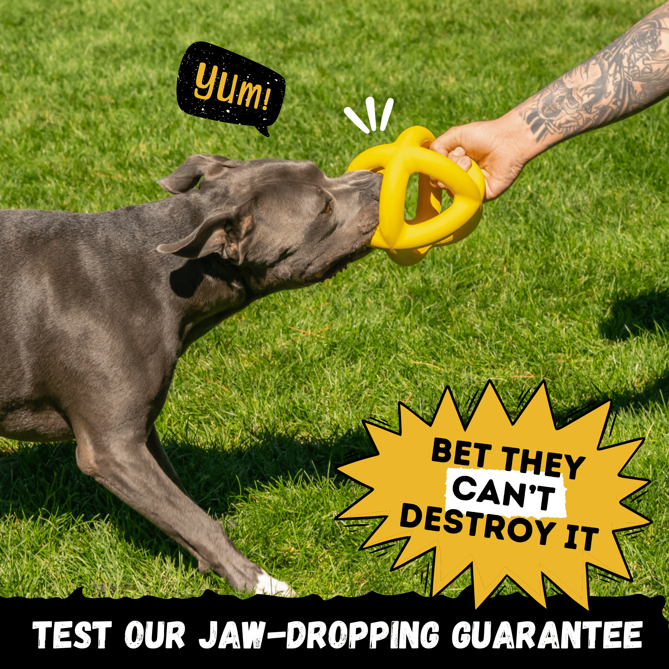 Giant Ring Ball - Monster K9 Dog Toys