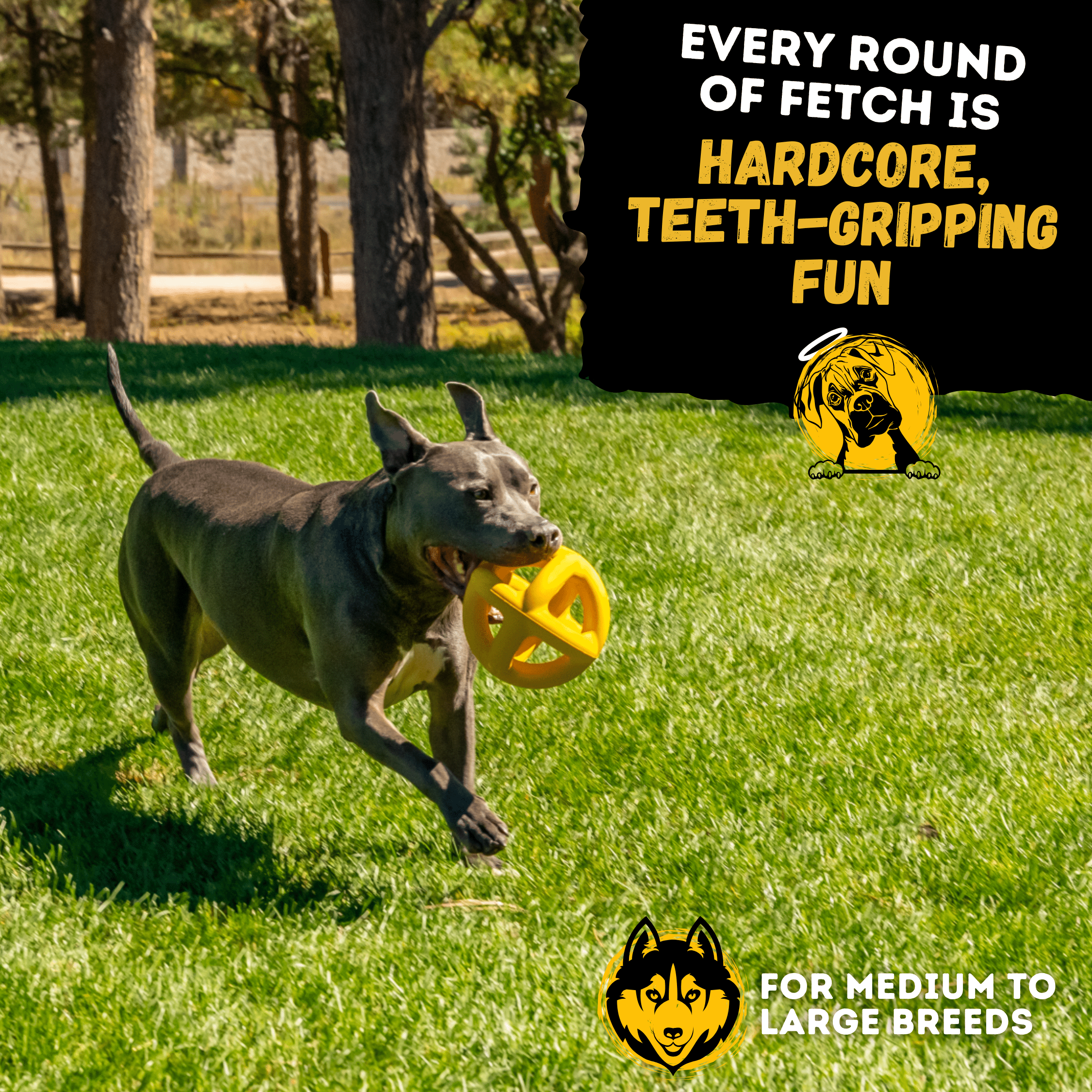 Giant Ring Ball - Monster K9 Dog Toys