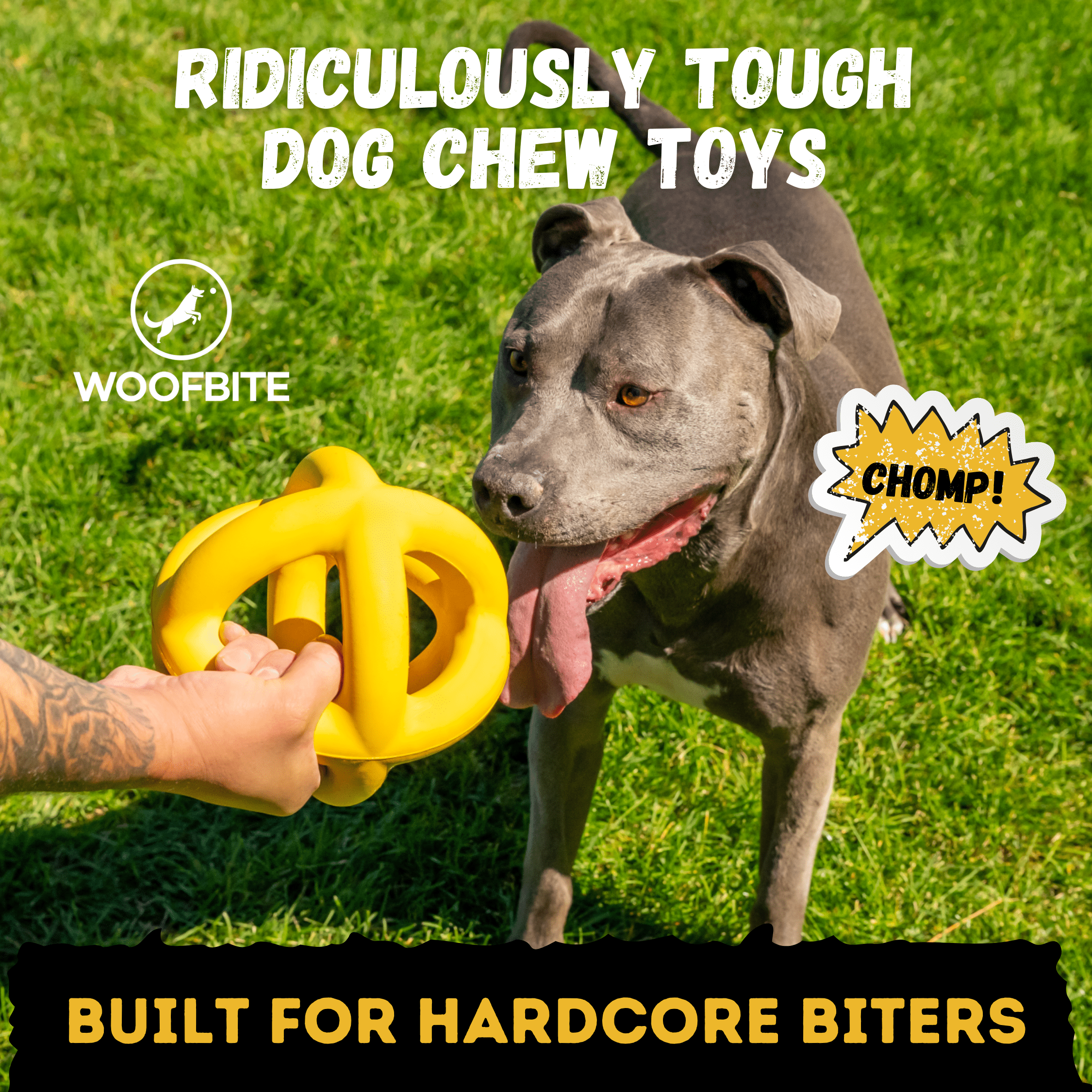 Giant Ring Ball - Monster K9 Dog Toys