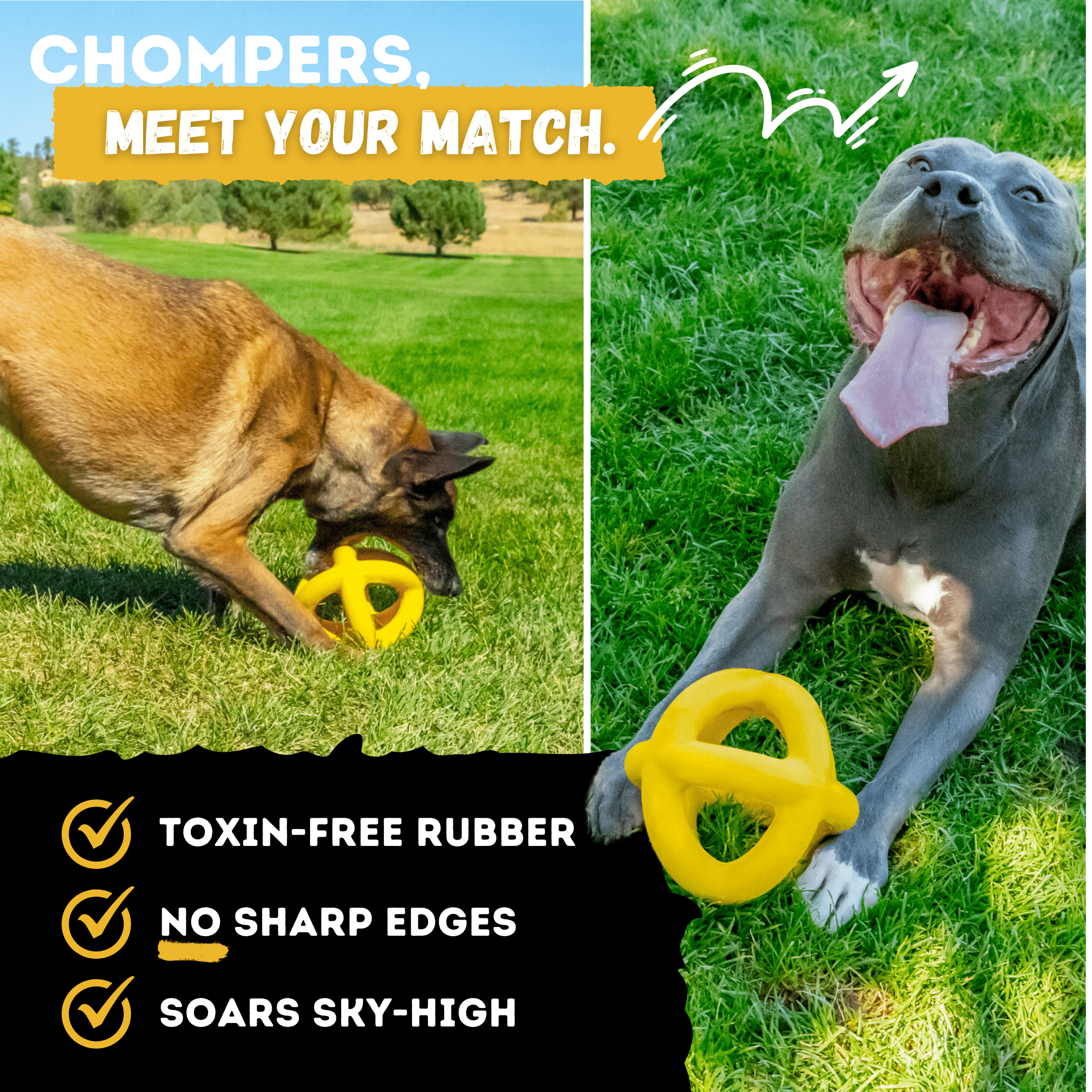 Giant Ring Ball - Monster K9 Dog Toys