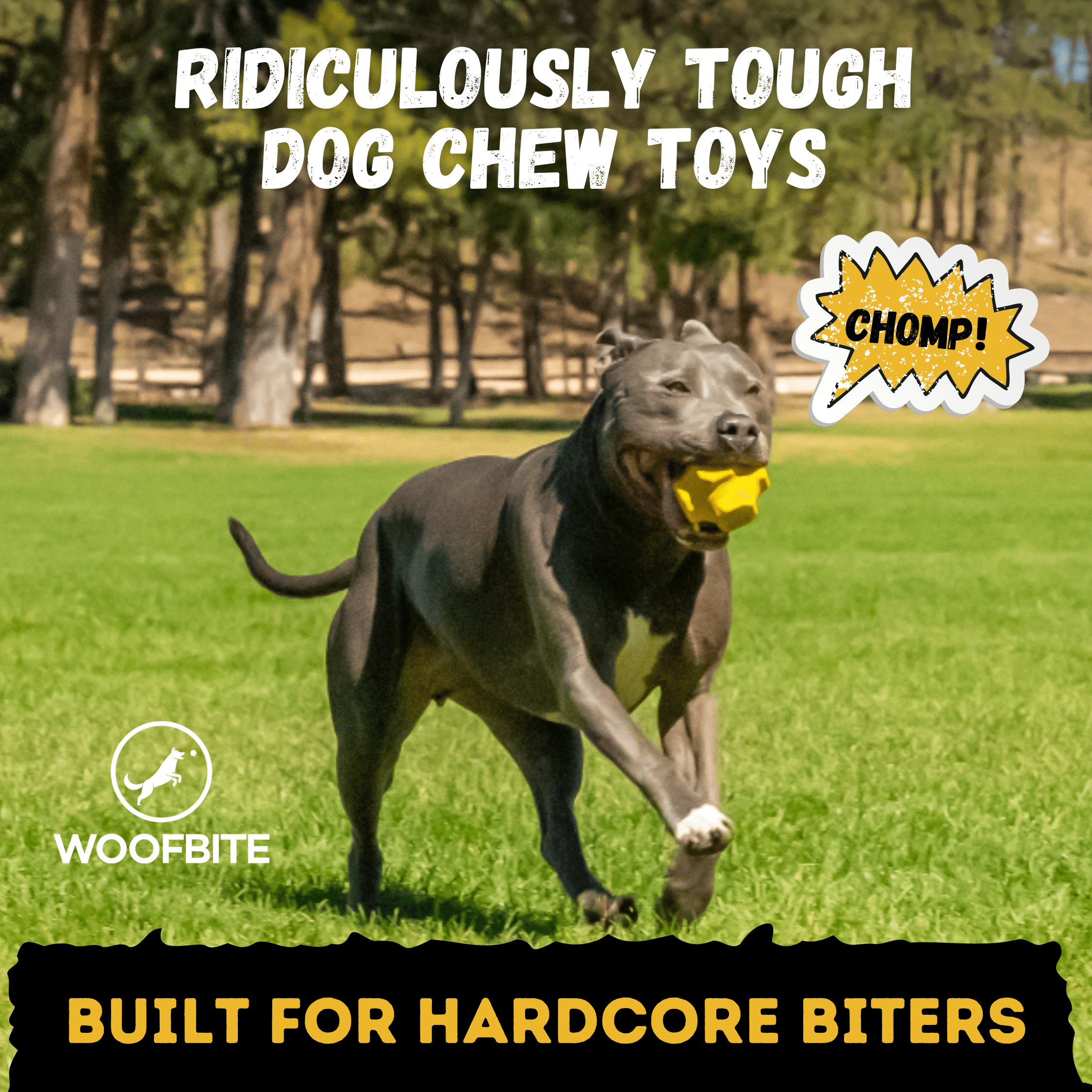 Jumping Jack - Monster K9 Dog Toys