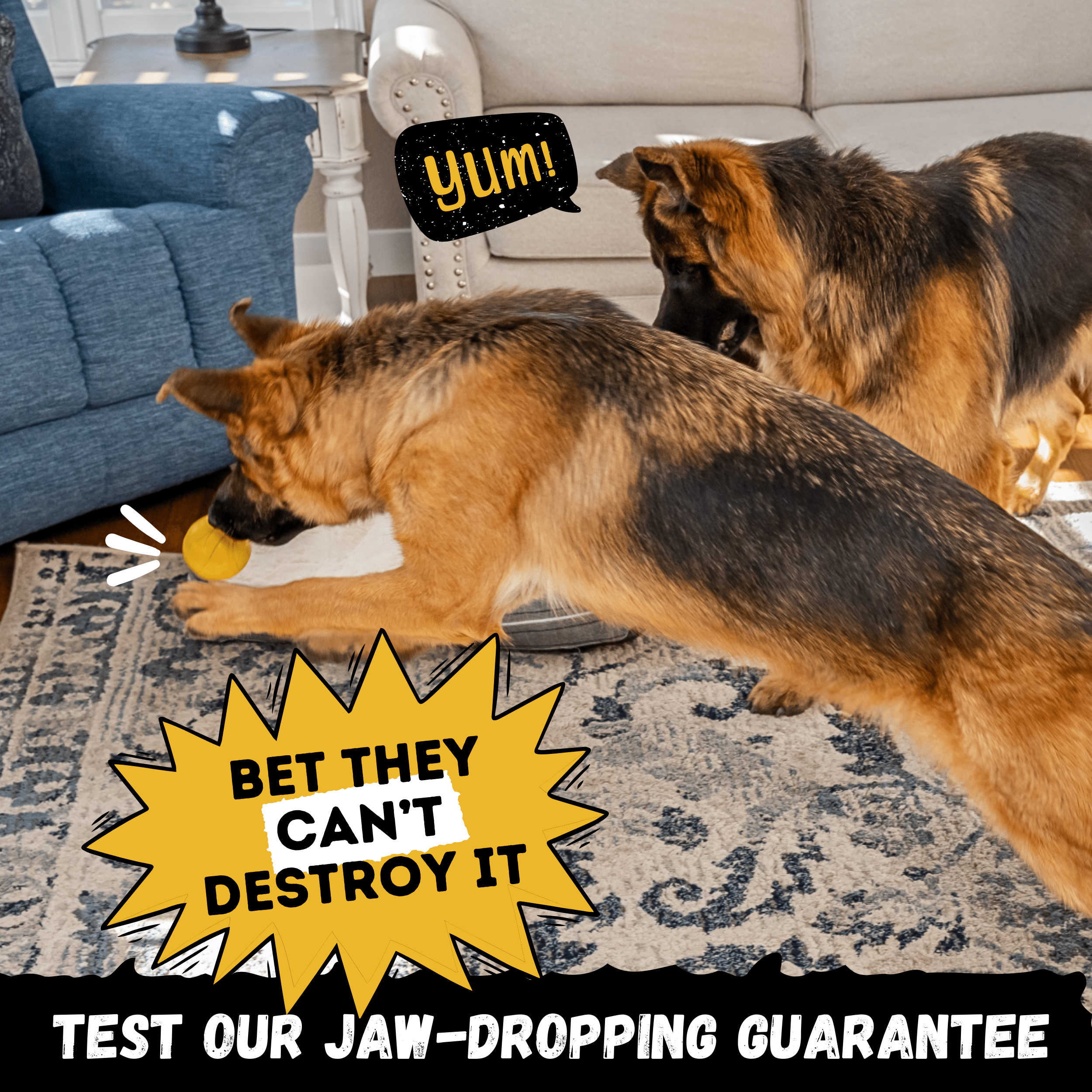 Power Ball - Monster K9 Dog Toys