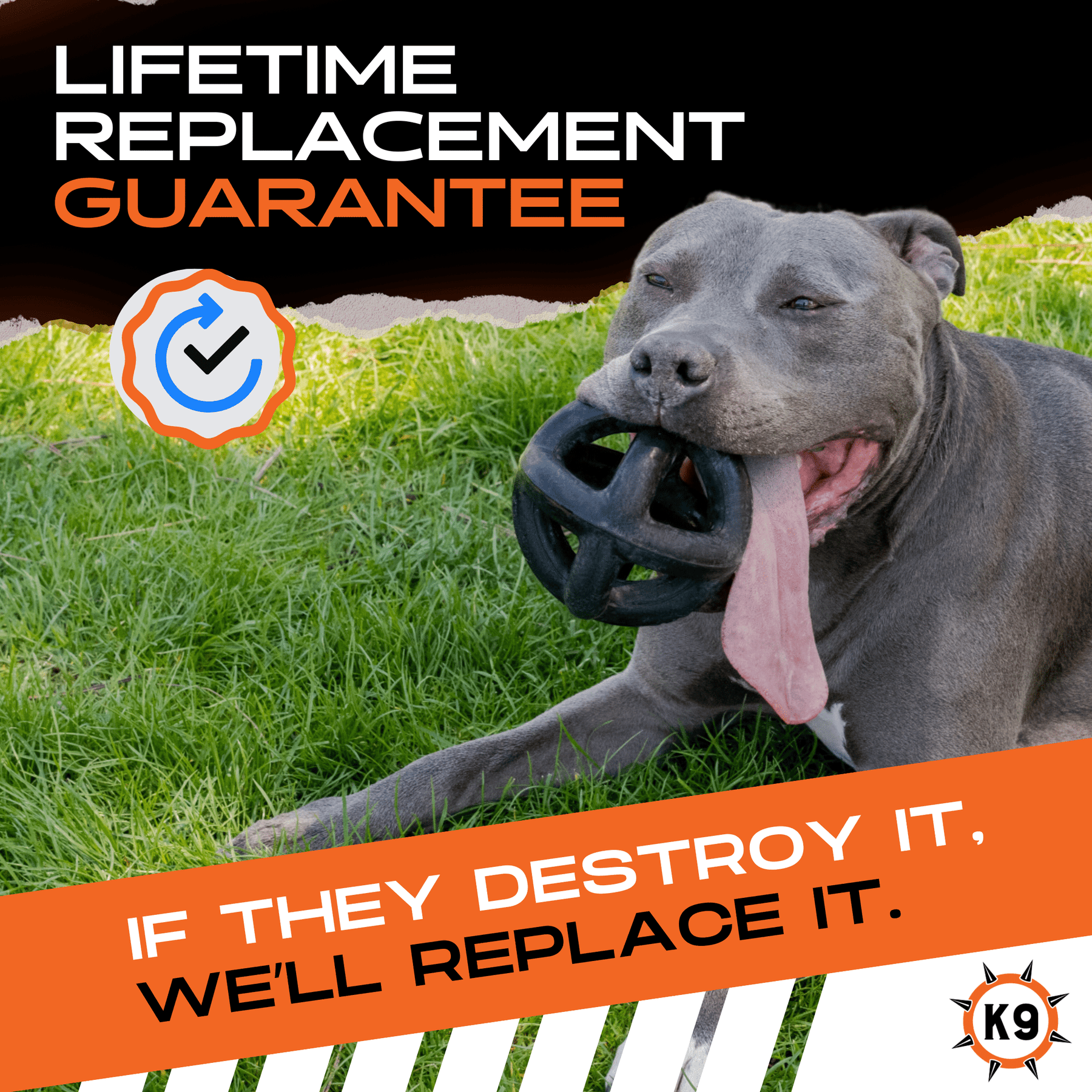 Good toys for pit bulls clearance