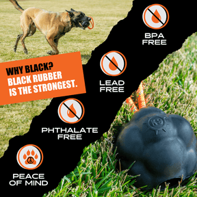 Rumble Rope Ball - Monster K9 Dog Toys