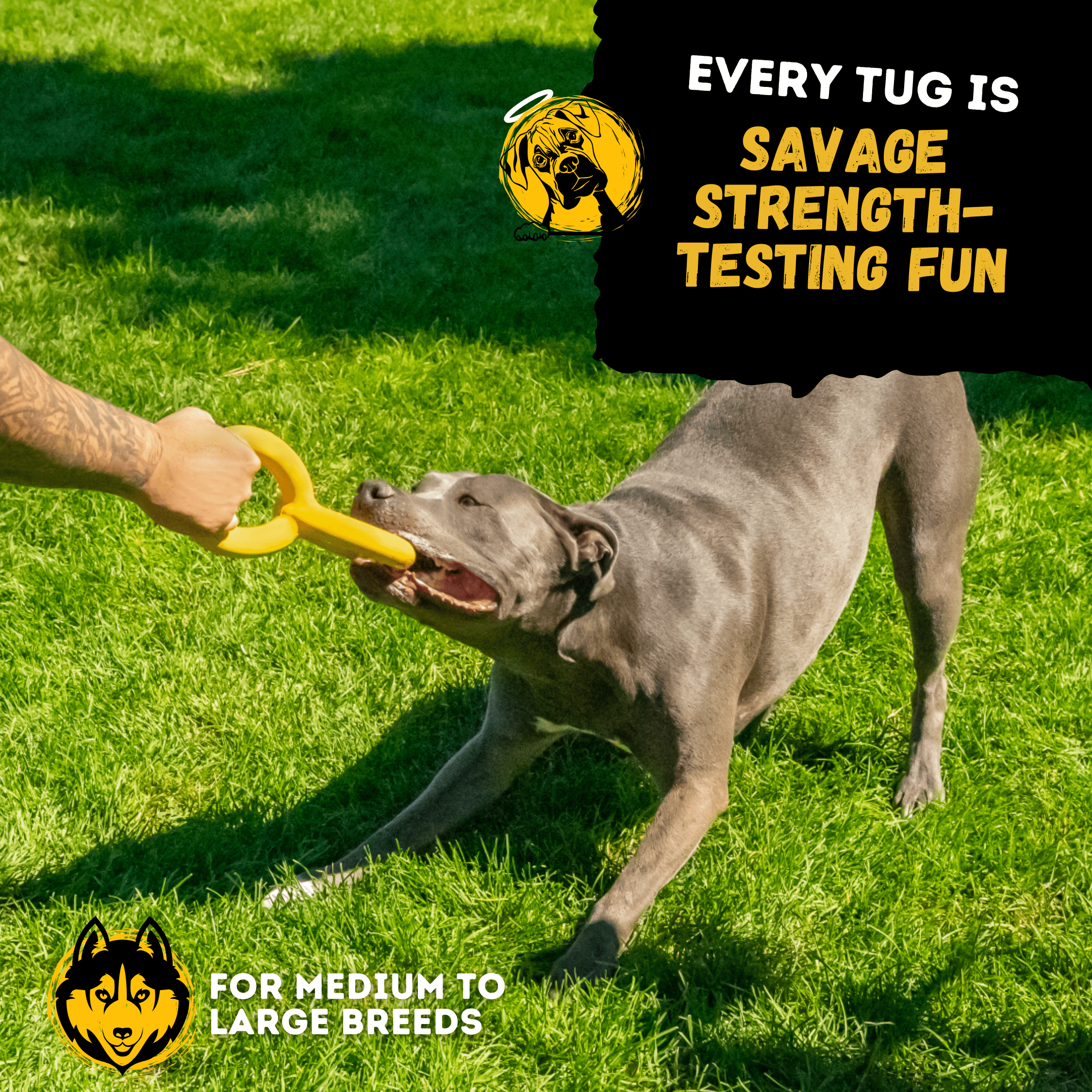 Tug Rings - Monster K9 Dog Toys