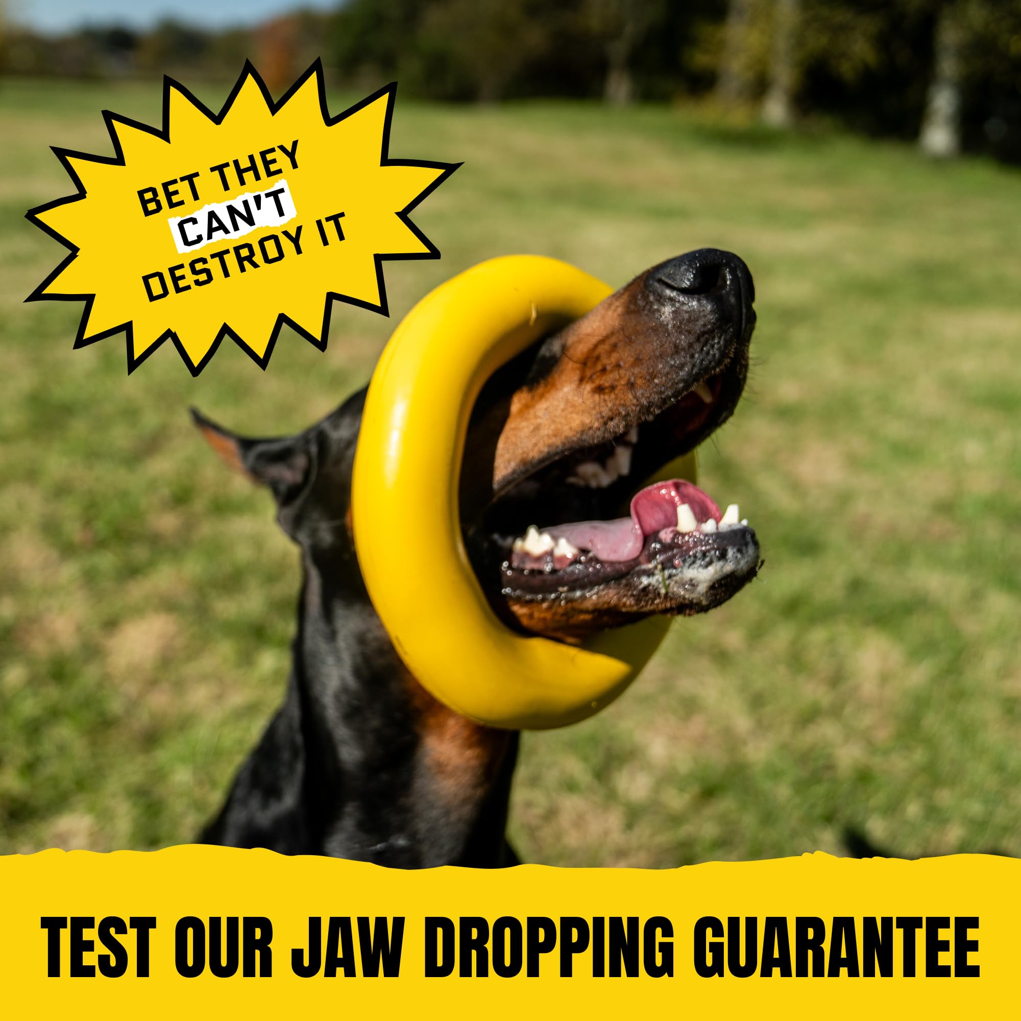 WoofBite Giant XL Virtually Indestructible Dog Ring - Lifetime Replacement - Tough, Durable Chew Toy for Aggressive Chewers - Safe Non-Toxic Natural Rubber - Chew, Tug, Fetch - Large - 9"x2", 2.25lbs - Monster K9 Dog Toys