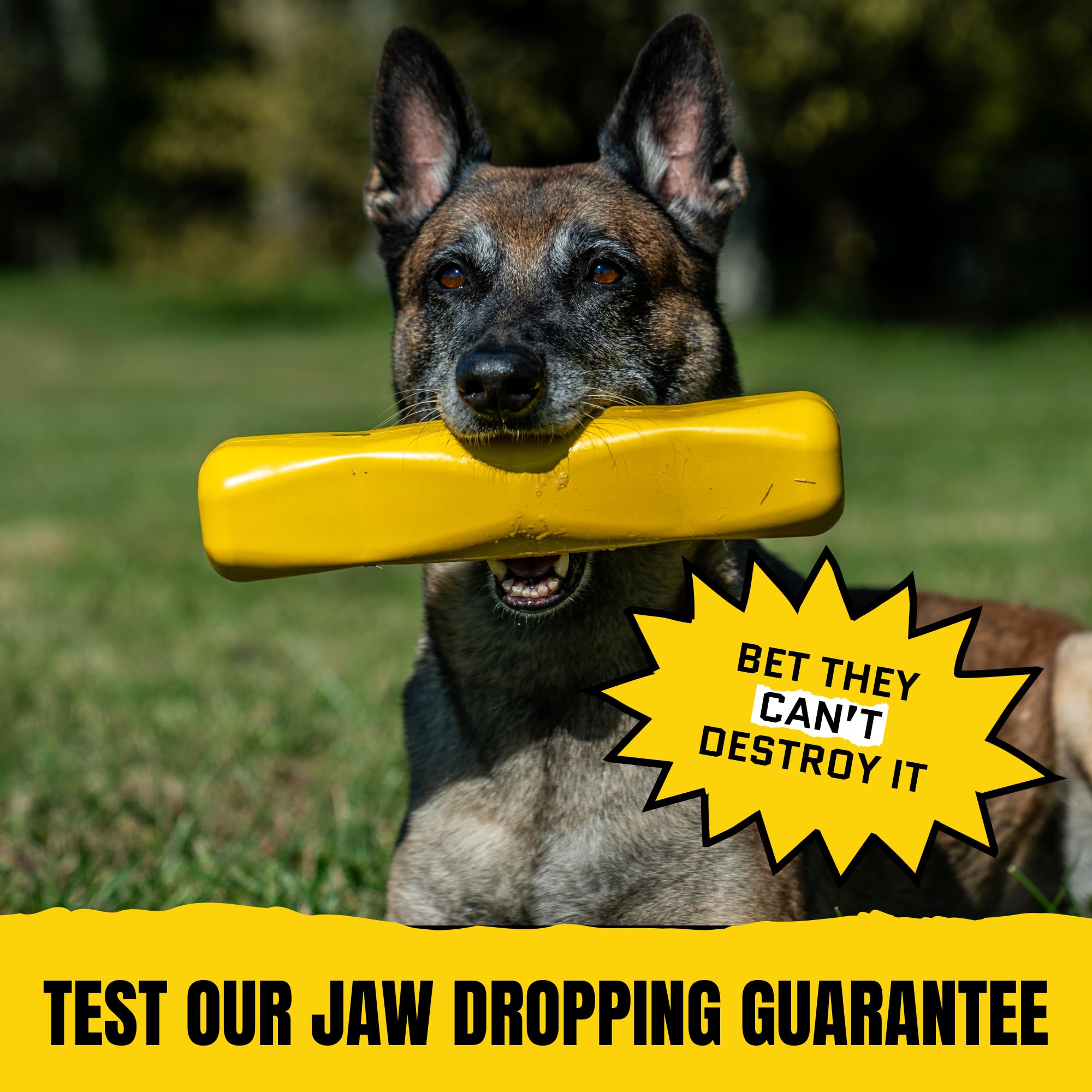 WoofBite Giant XL Virtually Indestructible Dog Stick - Lifetime Guaranteed - Tough, Durable Toy for Aggressive Chewers - Safe Non-Toxic Natural Rubber - Chew & Tug - Large - 12"x2.5", Heavy 2.25lbs - Monster K9 Dog Toys