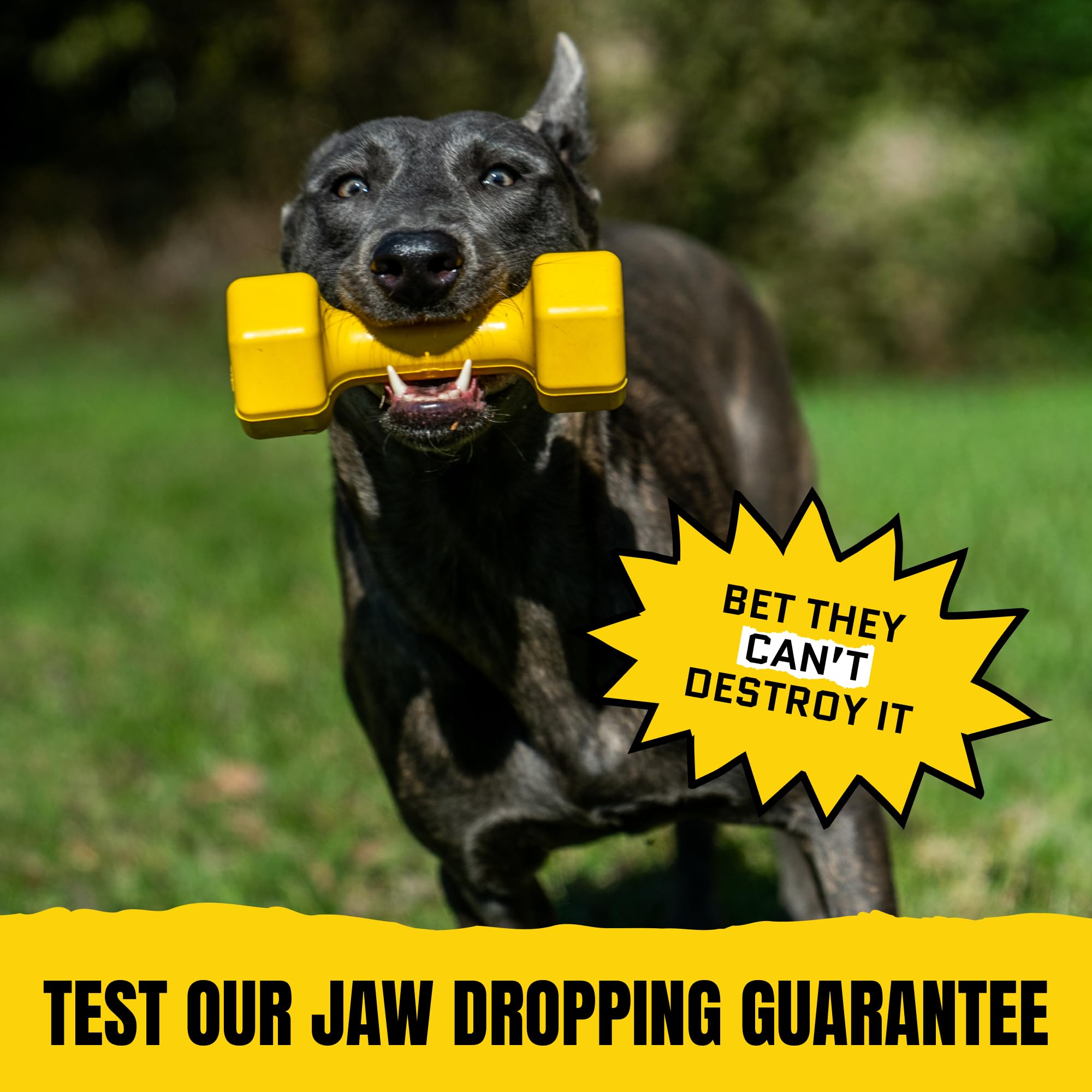 WoofBite Virtually Indestructible Dog Dumbbell - Lifetime Replacement - Tough, Durable Chew Toy for Aggressive Chewers - Safe Non-Toxic Natural Rubber - Chew, Tug, Fetch - Med/Large Breed - 7"x2.5" - Monster K9 Dog Toys