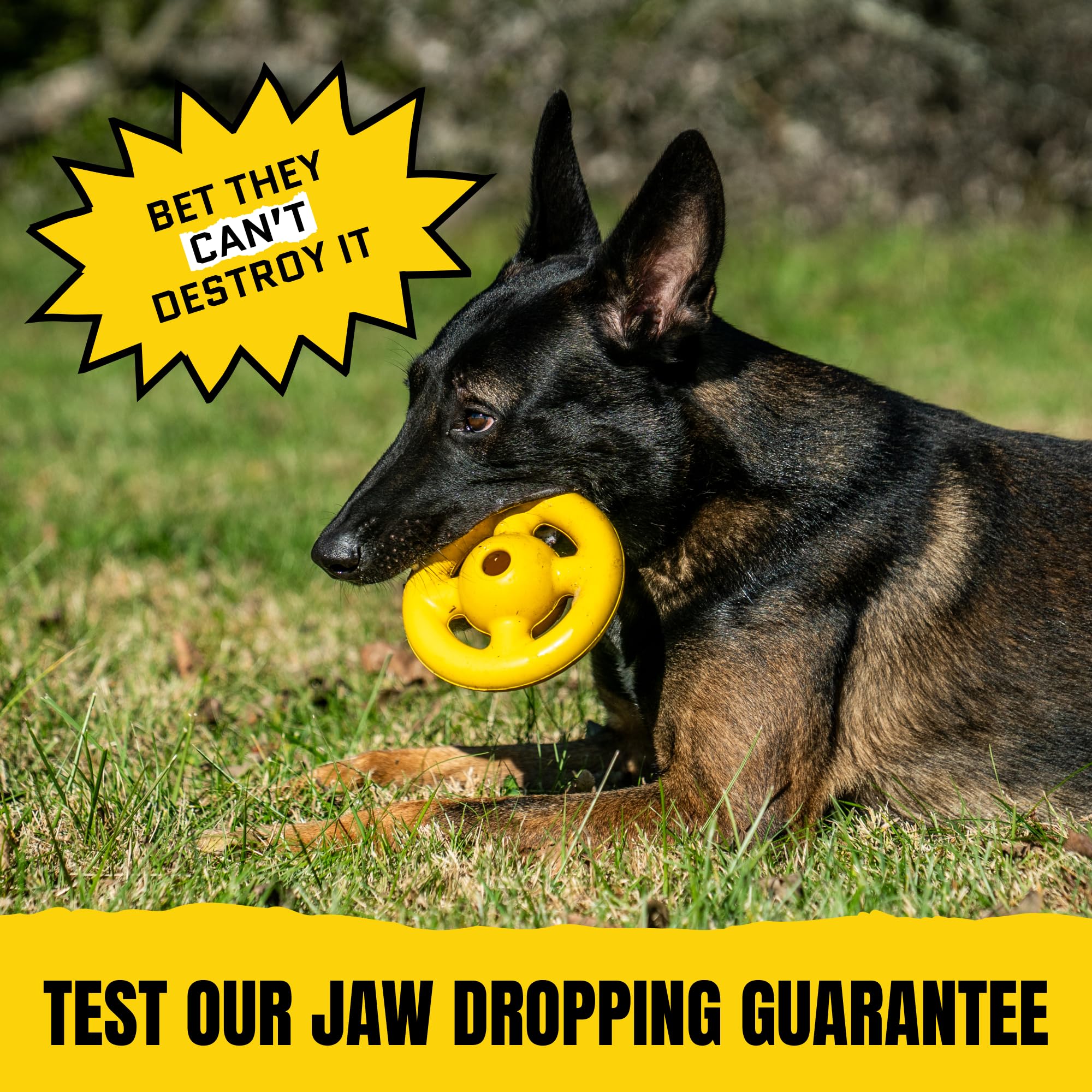 WoofBite Virtually Indestructible Orbit Dog Ball - Lifetime Replacement - Tough, Durable Chew Toy for Aggressive Chewers - Safe Non-Toxic Natural Rubber - Chew, Fetch, Puzzle - Med/Large, 6"x2.5" - Monster K9 Dog Toys