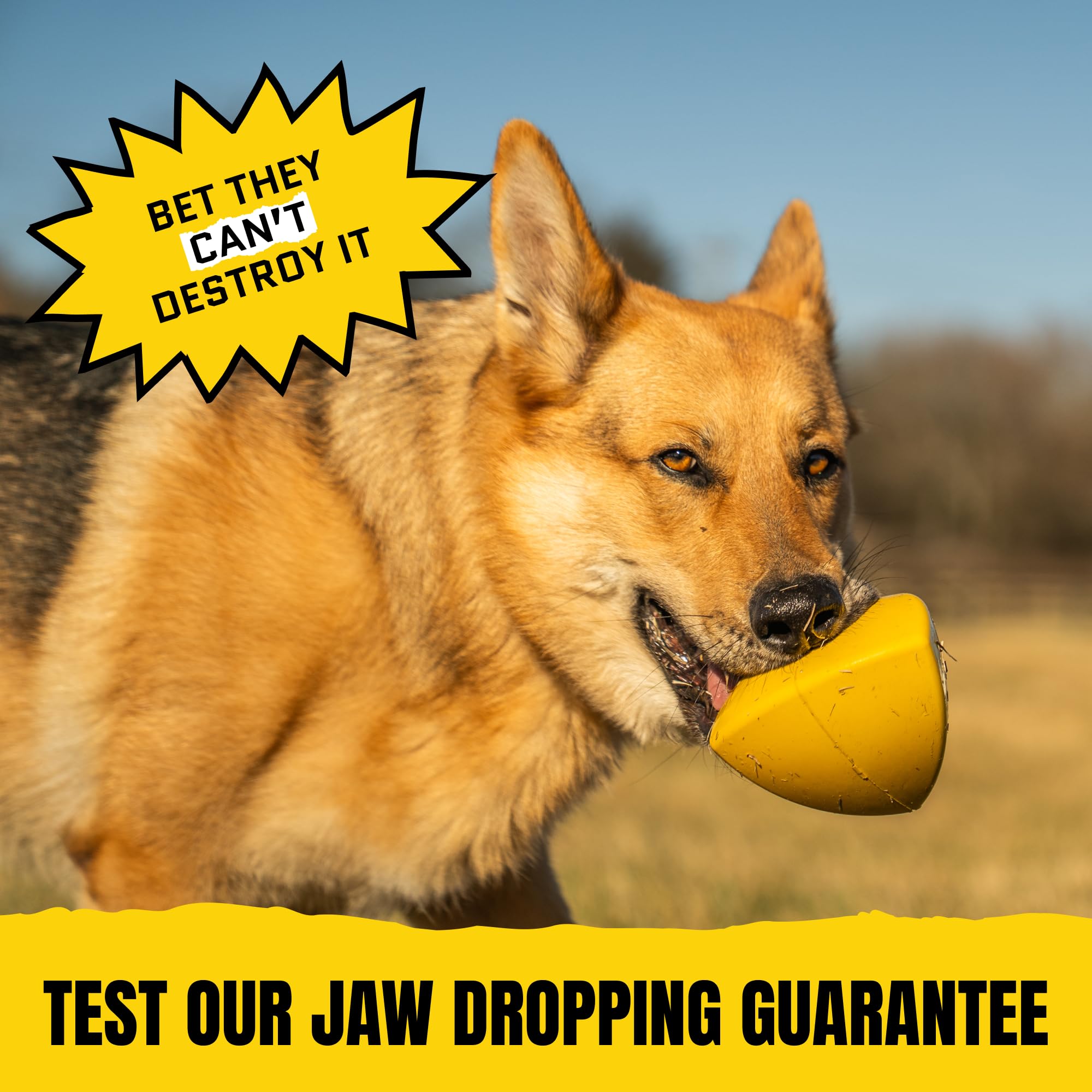 WoofBite Virtually Indestructible Pyramid Dog Toy - Lifetime Replacement - Tough, Durable Chew Toy for Aggressive Chewers - Safe Non-Toxic Natural Rubber - Chew, Tug, Fetch - Med/Large Breed - 5"x4" - Monster K9 Dog Toys