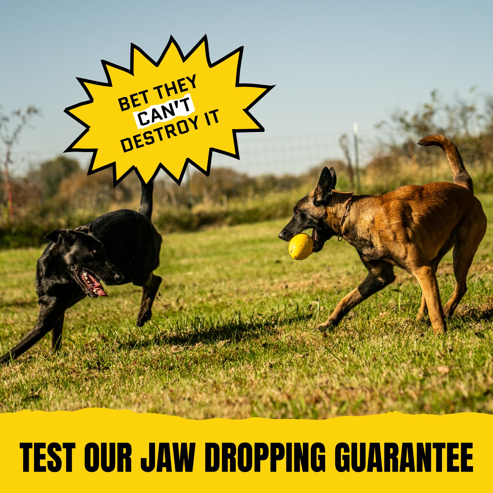 WoofBite Virtually Indestructible Wobble Chew Toy - Lifetime Replacement - Tough, Durable Ball for Aggressive Chewers - Safe Non-Toxic Natural Rubber - Chew, Treats, Fetch - Med/Large Breed - 5"x4" - Monster K9 Dog Toys