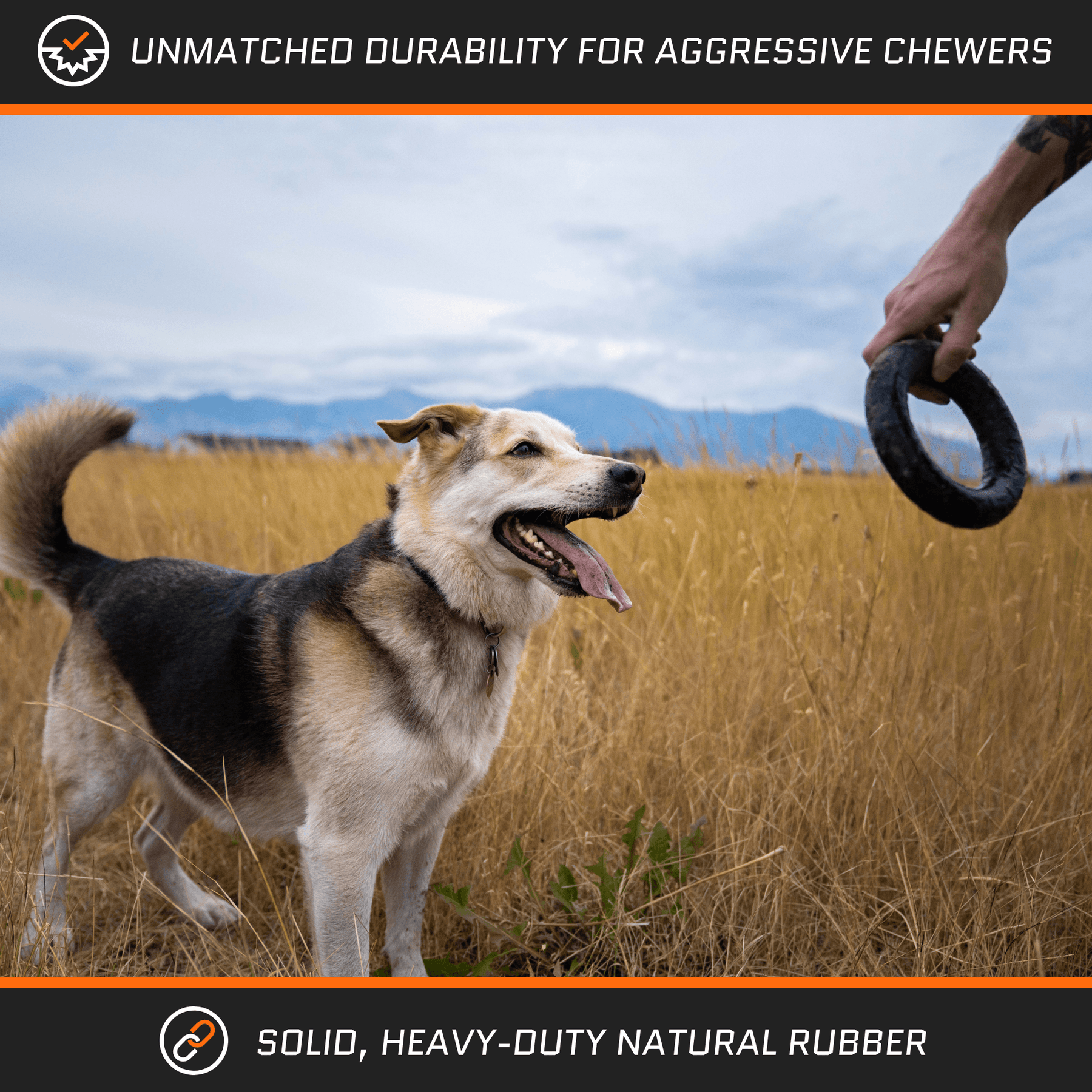 Ultra Durable Chew Ring Toy Lifetime Replacement Guarantee